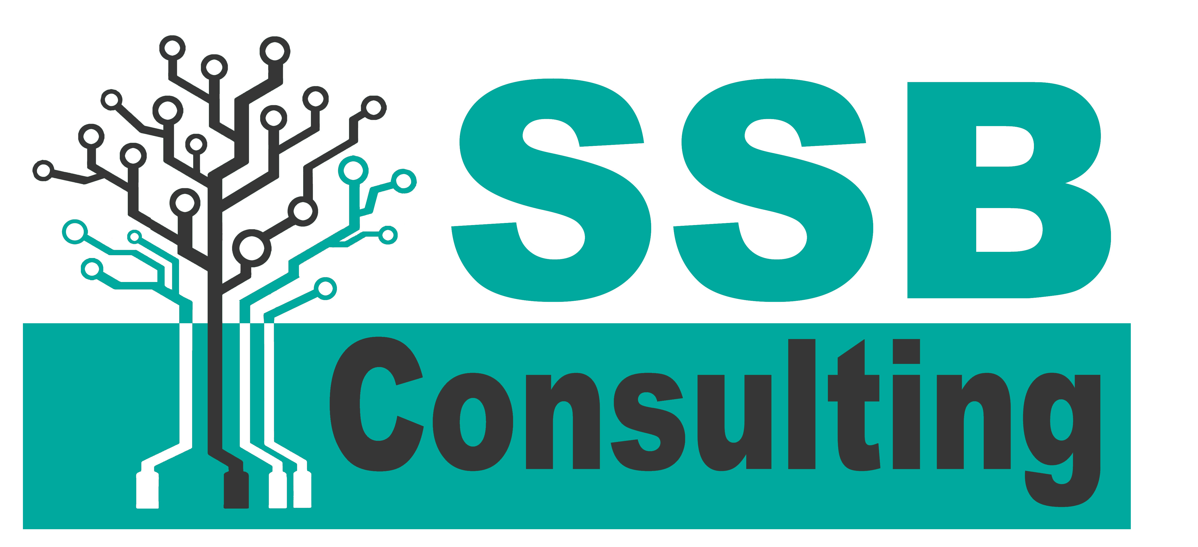 SSB Consulting